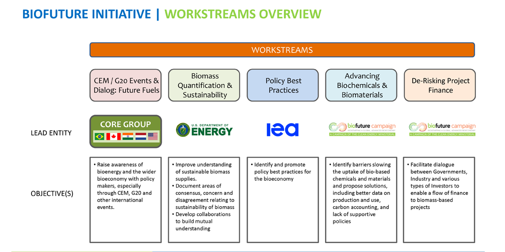 CEM Biofuture Platform Initiative Workstream Overview